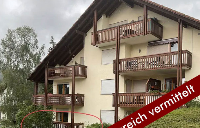 Zwei-ZImmer Etagenwohnung in Todtmoos